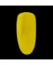02NG-NIGHT.webp
