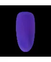 09NG-NIGHT.webp