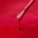 R45-MACRO.webp