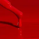 R95-MACRO.webp