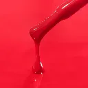 WN01-MACRO.webp