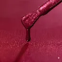 WN60-MACRO.webp