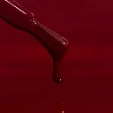 WN95-MACRO.webp