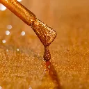 02CS-MACRO.webp